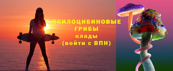 2c-b Костерёво