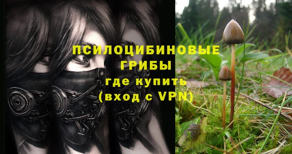 бутират Коряжма