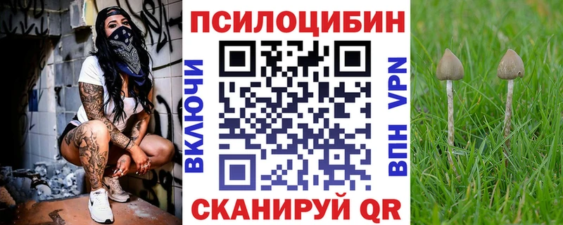 Псилоцибиновые грибы мухоморы  Купить  Сасово 